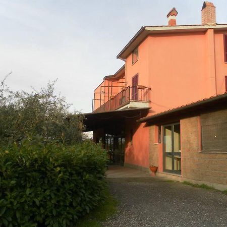 Il Contado B&B Castel Sant'Elia Exterior foto